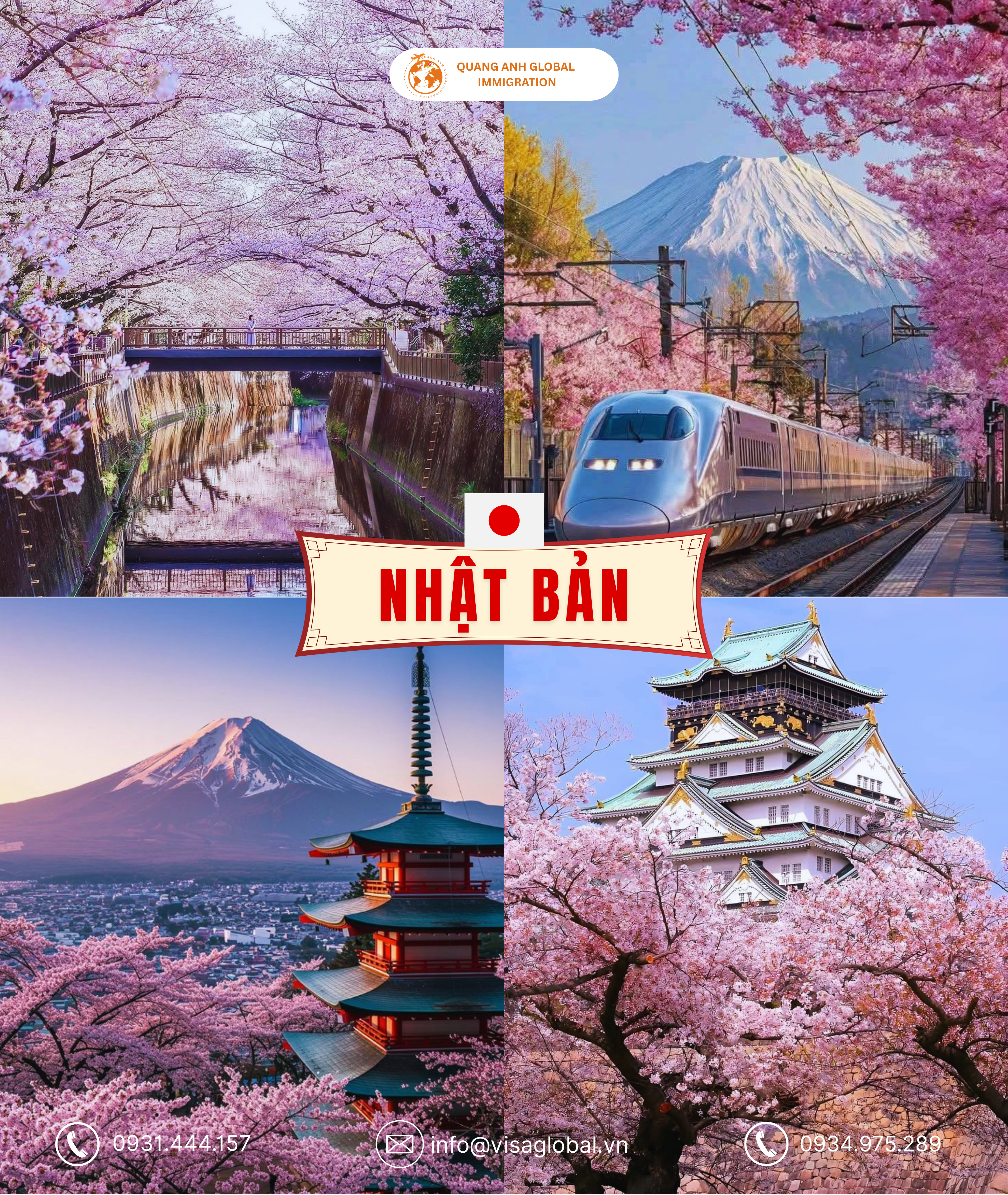 hoa anh đào Nhật Bản - Quang Anh Global Immigration