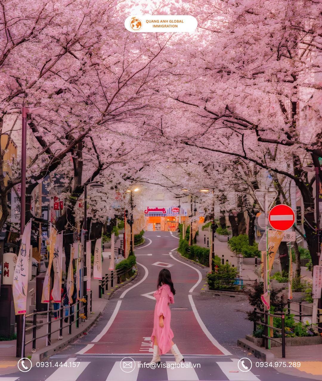 du lịch nhật bản hoa anh đào - quang anh global immigration
