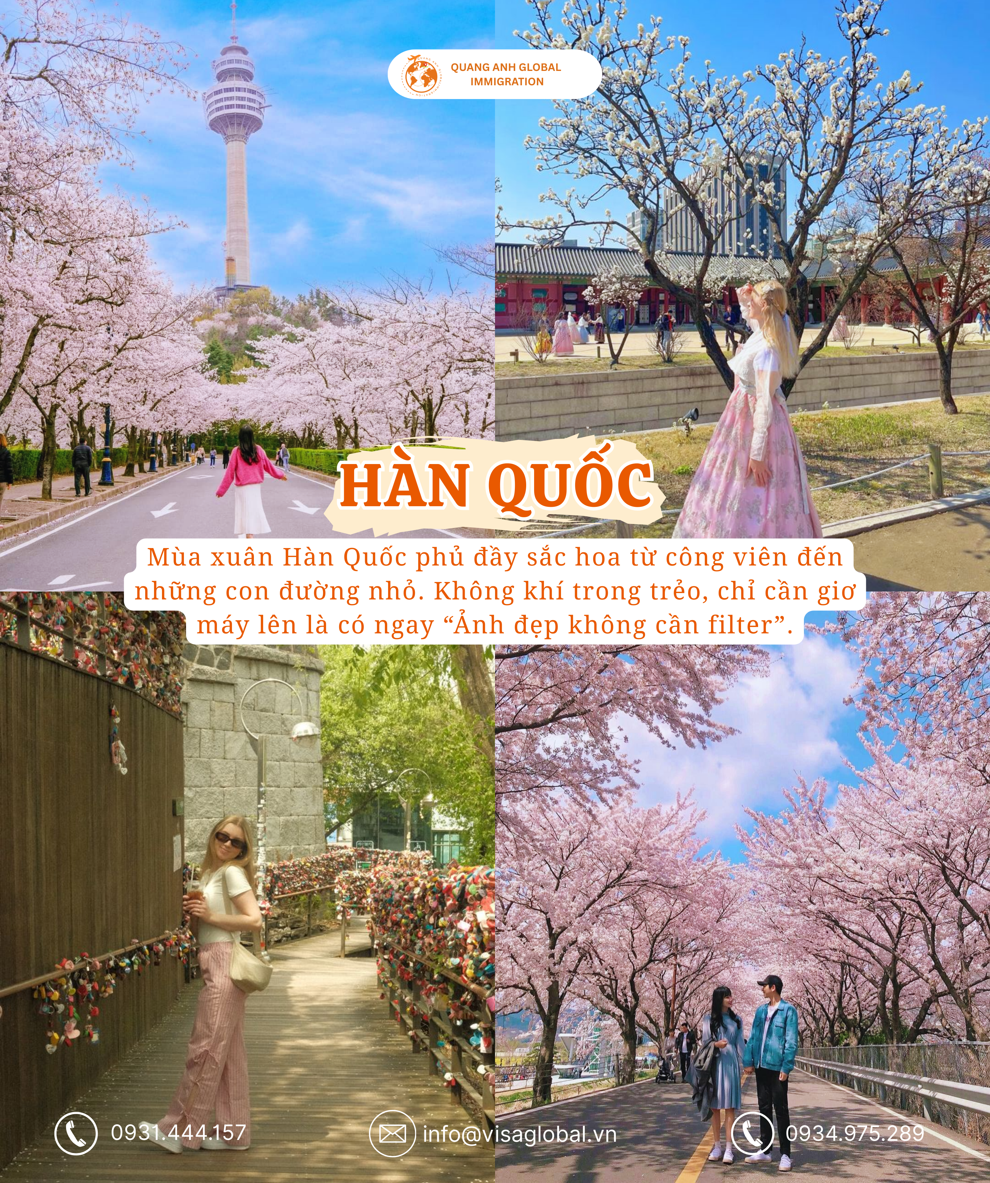 Du lịch Hàn Quốc mùa xuân - Quang Anh Global Immigration