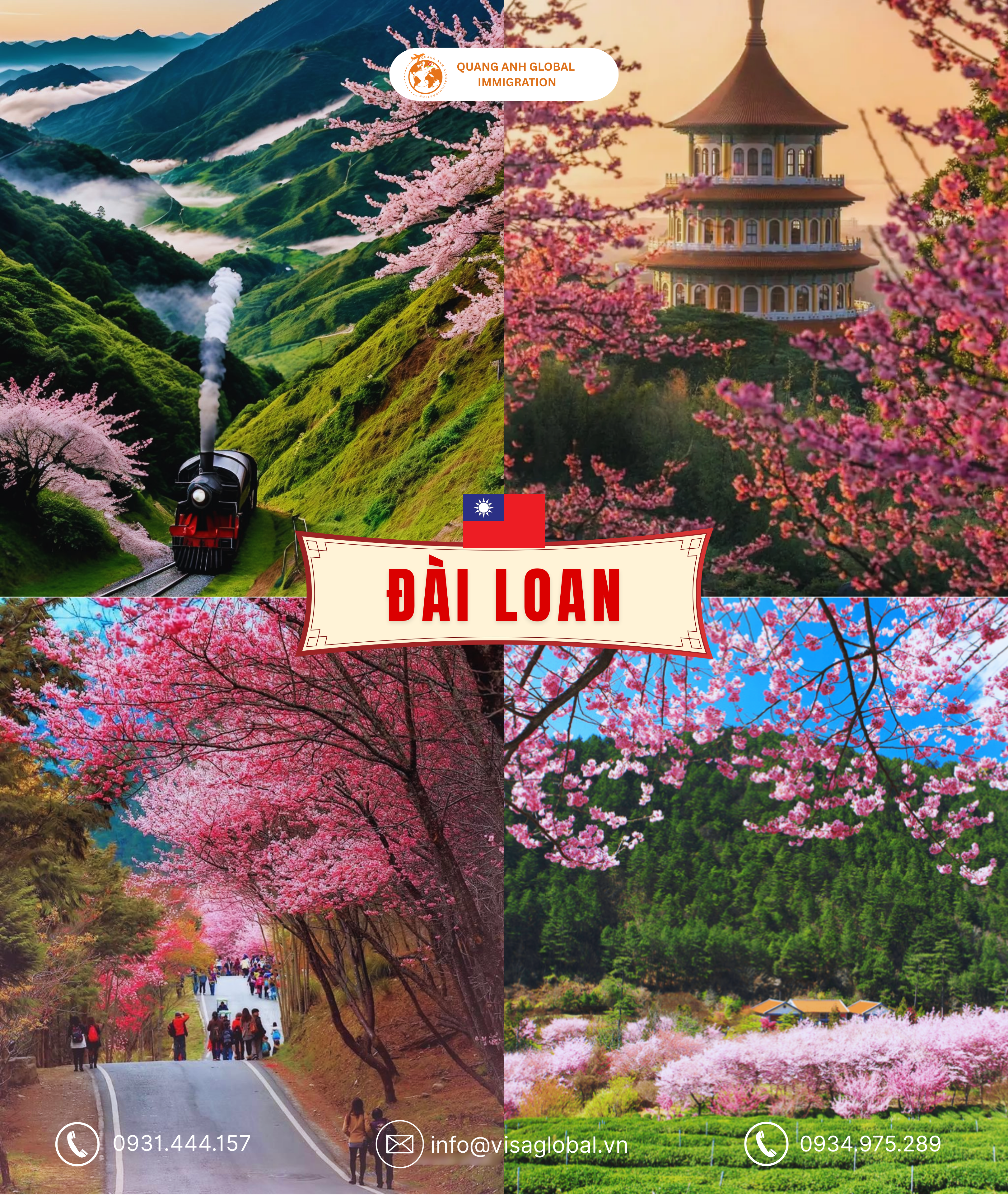 Mùa hoa anh đào Đài Loan - Quang Anh Global Immigration