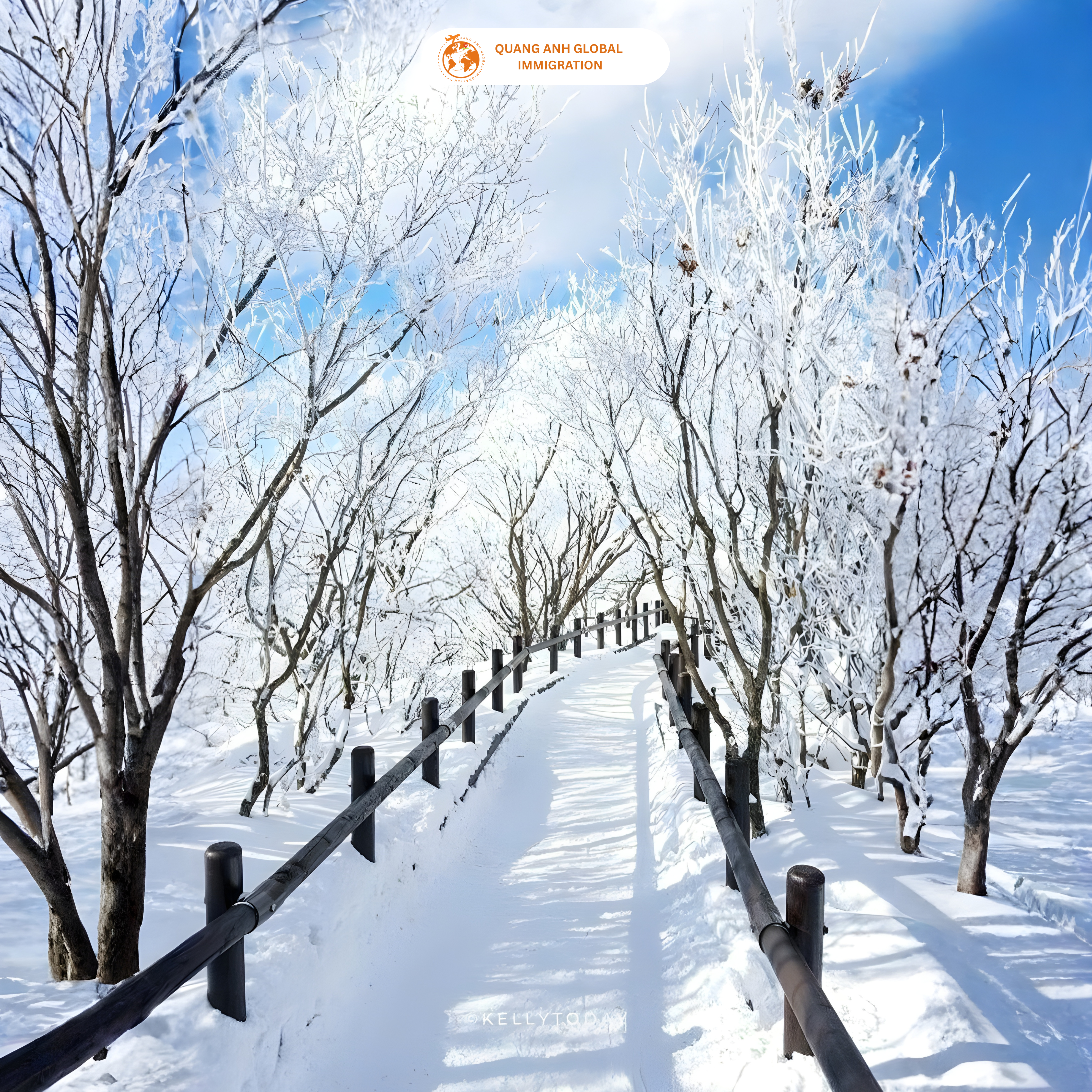 Mùa đông tại Nami Island ( Đảo Nami ) - Quang Anh Visa Global