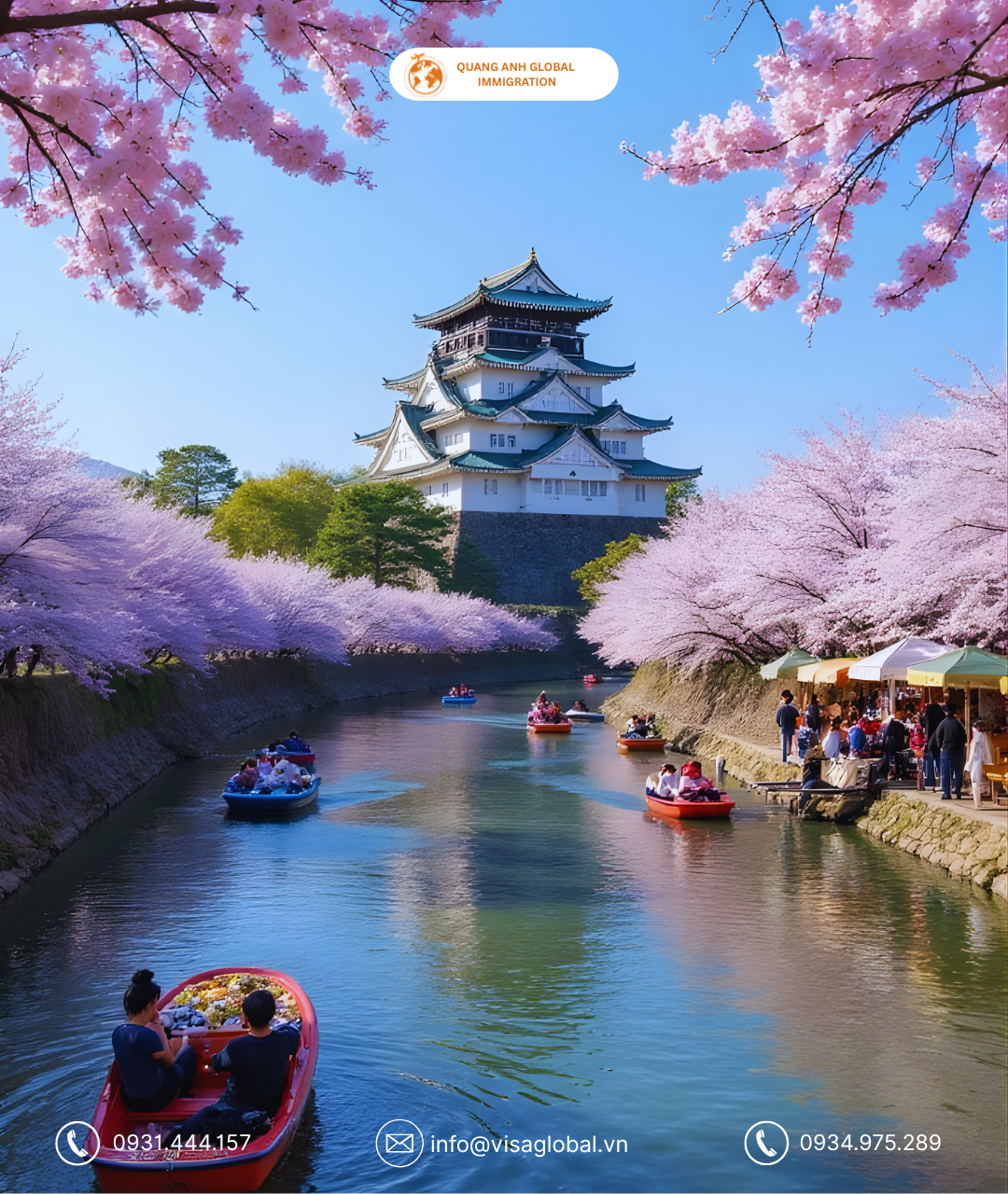 hoa anh đào nhật bản - quang anh global immigration