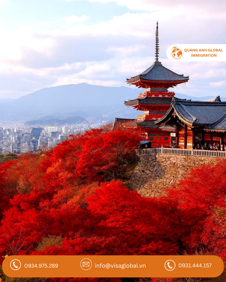 Lá phong đỏ Nhật Bản tại Kyoto mùa thu