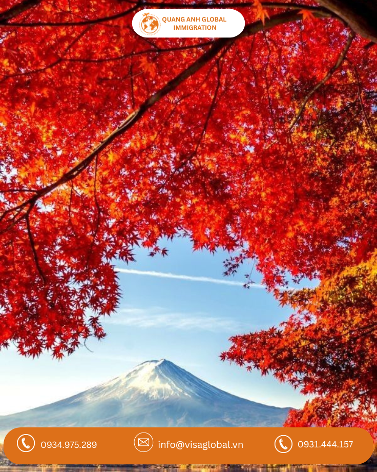 Lá phong đỏ Nhật Bản tại Kyoto mùa thu