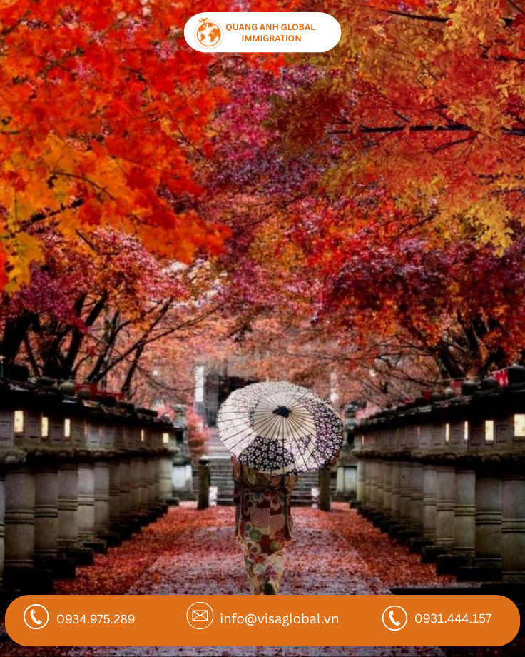 Lá phong đỏ Nhật Bản tại Kyoto mùa thu