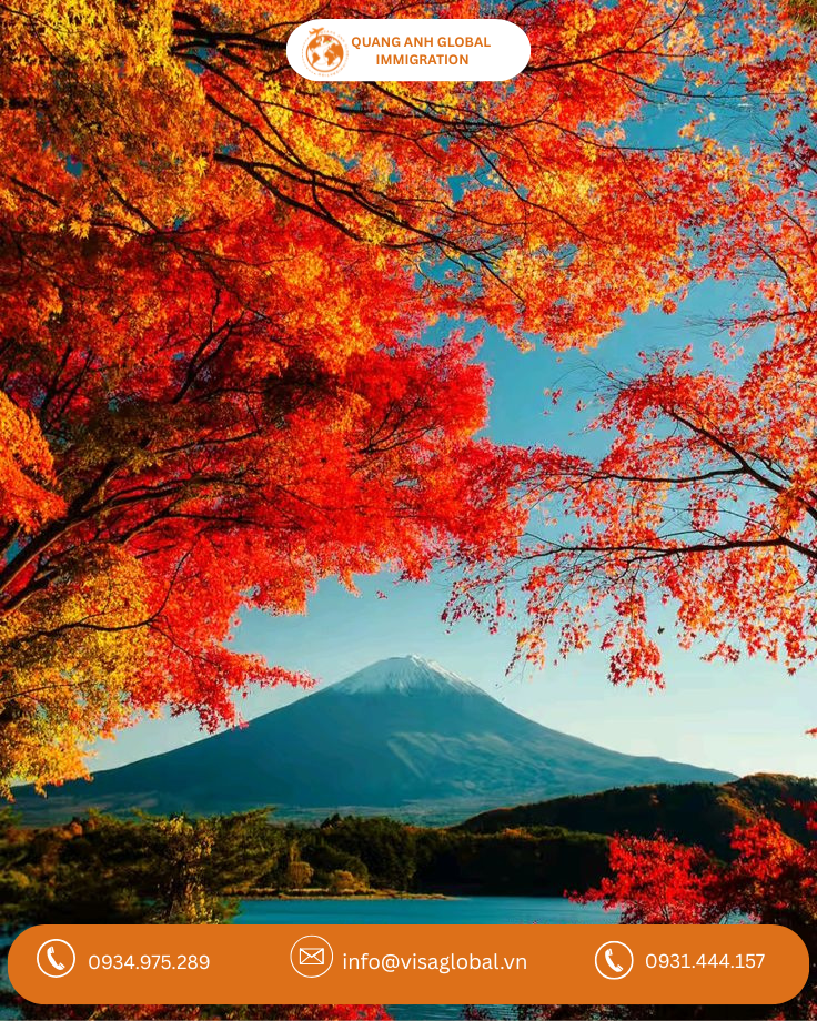 Mùa thu lá đỏ Nhật Bản_QA Visa Global