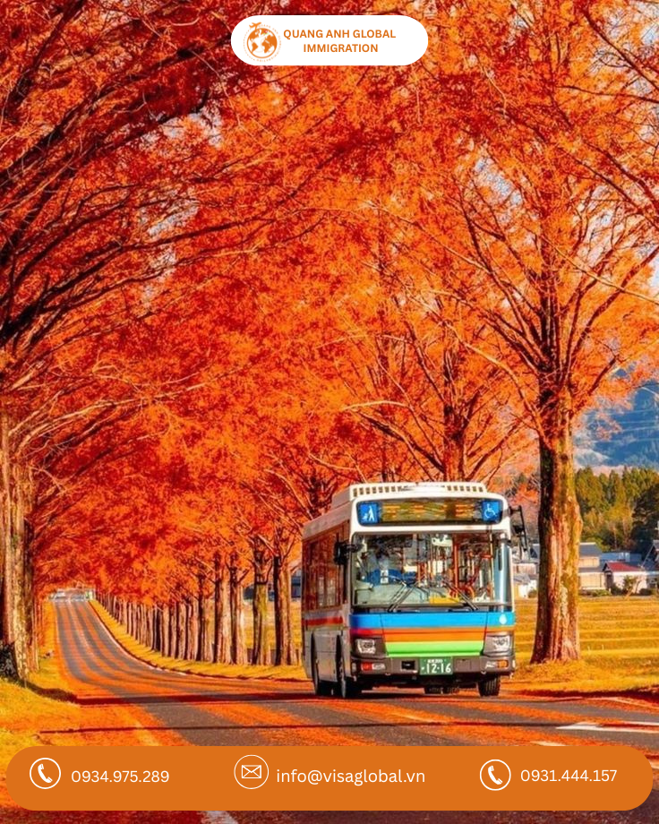 Mùa thu lá đỏ Hàn Quốc - QA Visa Global