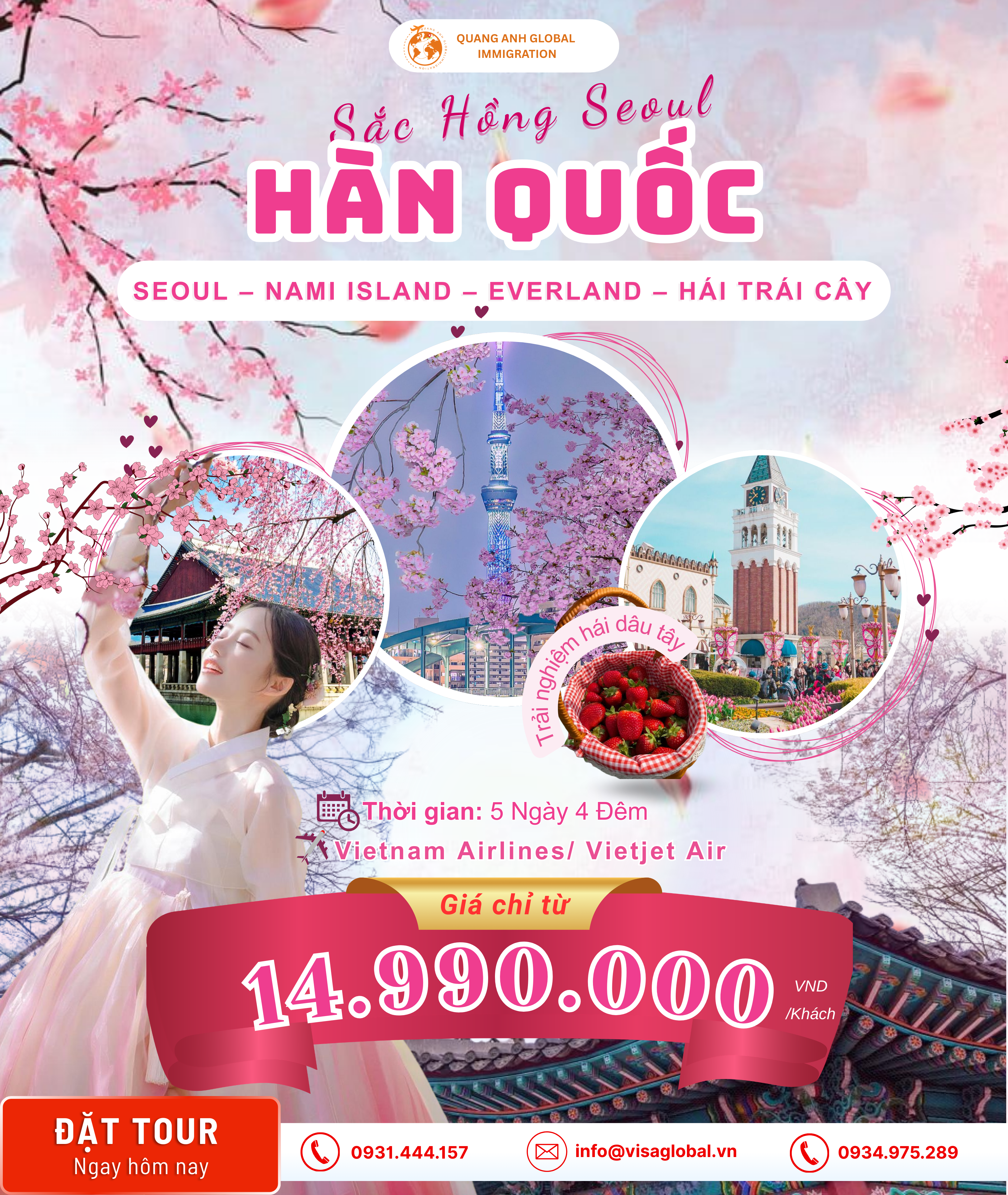 Tour Hàn Quốc mùa xuân - Quang Anh Global Immigration