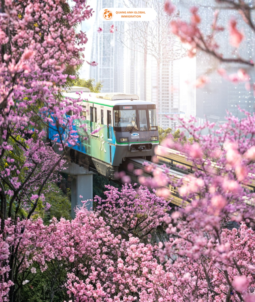 Mùa xuân Trung Quốc - Quang Anh Global Immigration